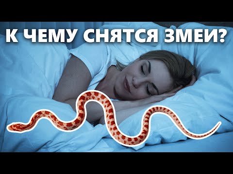 К чему снится змея и что значит видеть змею во сне