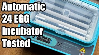 Fully Automatic Egg Incubator Full Test Aliexpress Finds EP 11 by donmarkon 1,954 views 3 months ago 4 minutes, 12 seconds