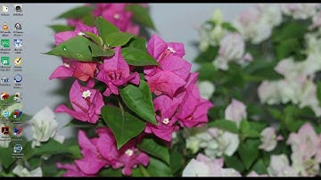 View BESDER IP camera via VLC software