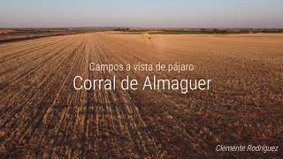 Campos a vista de pájaro - Corral de Almaguer. EP1: Caminos Reolí y Sendaenmedio