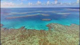 Celine Dion - A new day has come (Rare Instrumental version)