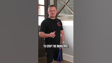 Hoe je een puppy aan een oudere hond voorstelt