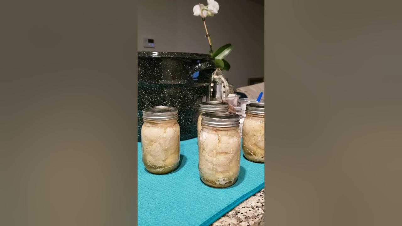 all done... cubed boneless chicken breast pressure canned in ball jar