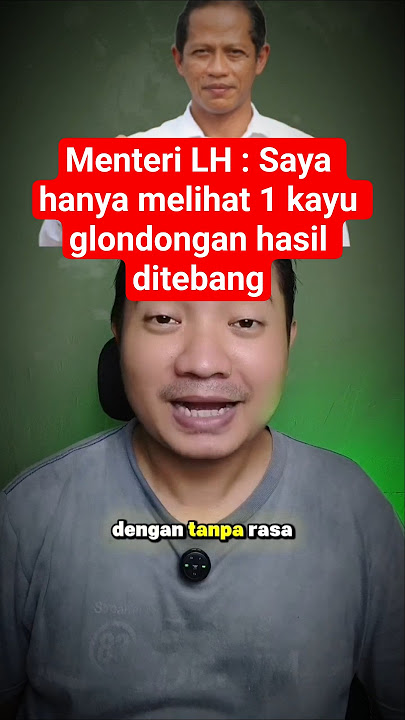 Menteri lingkungan hidup : saya hanya melihat satu kayu glondongan hasil ditebang #bencanasumatera