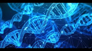 Mr. Taylor's Biology Class - Chapter 11 Section 2 Discussion