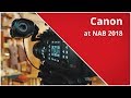 Canon C700 FF at NAB 2018
