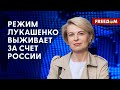 ❗️❗️ ЛУКАШЕНКО хотел БЕЖАТЬ в Польшу? Вымысел или ПРАВДА? Разбор