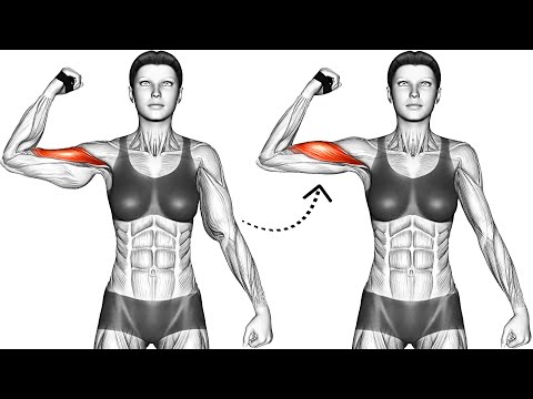 10 Best Arm Fat Exercises To Tone Flabby Arms Quickly