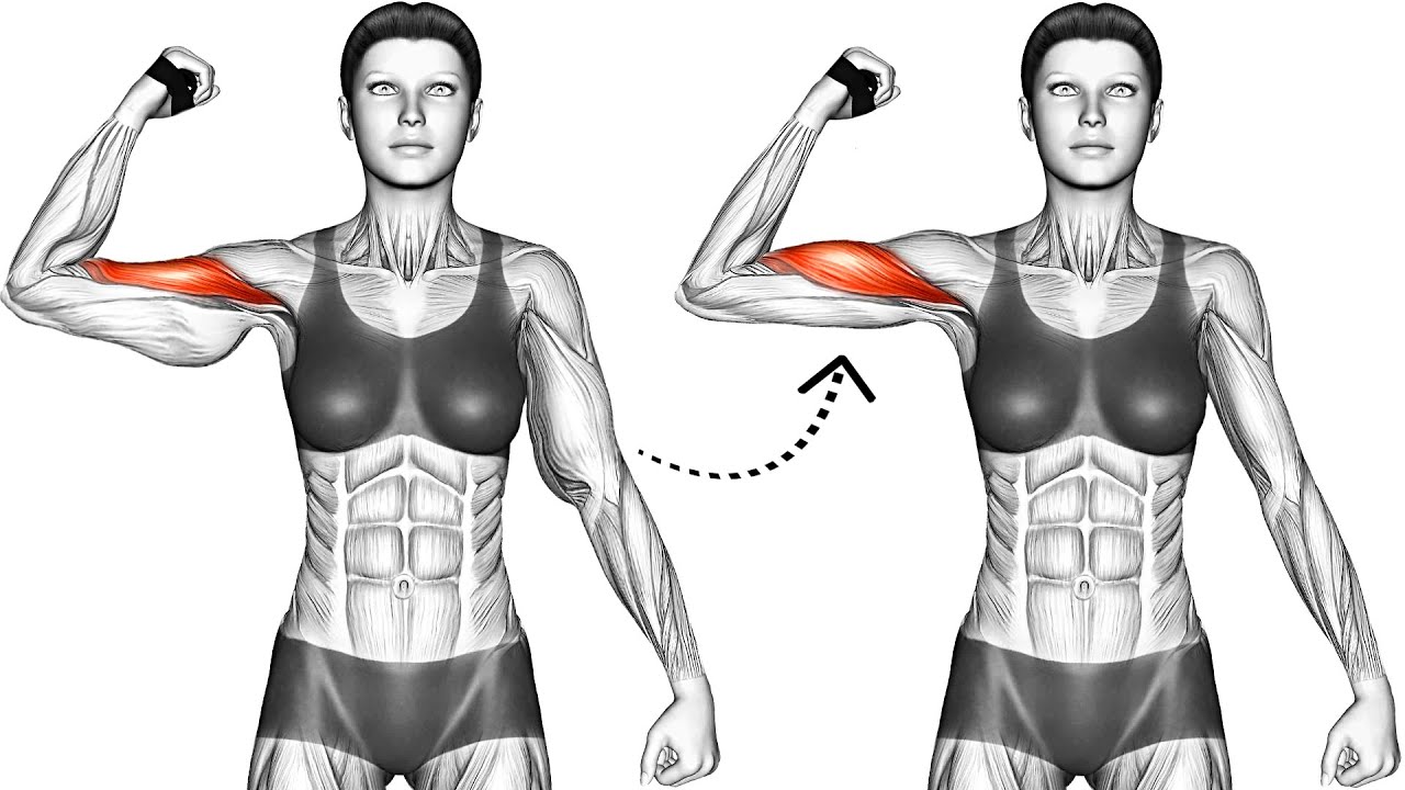 2 best exercise to help u get rid of flabby arms, Video published by  SG-Sky