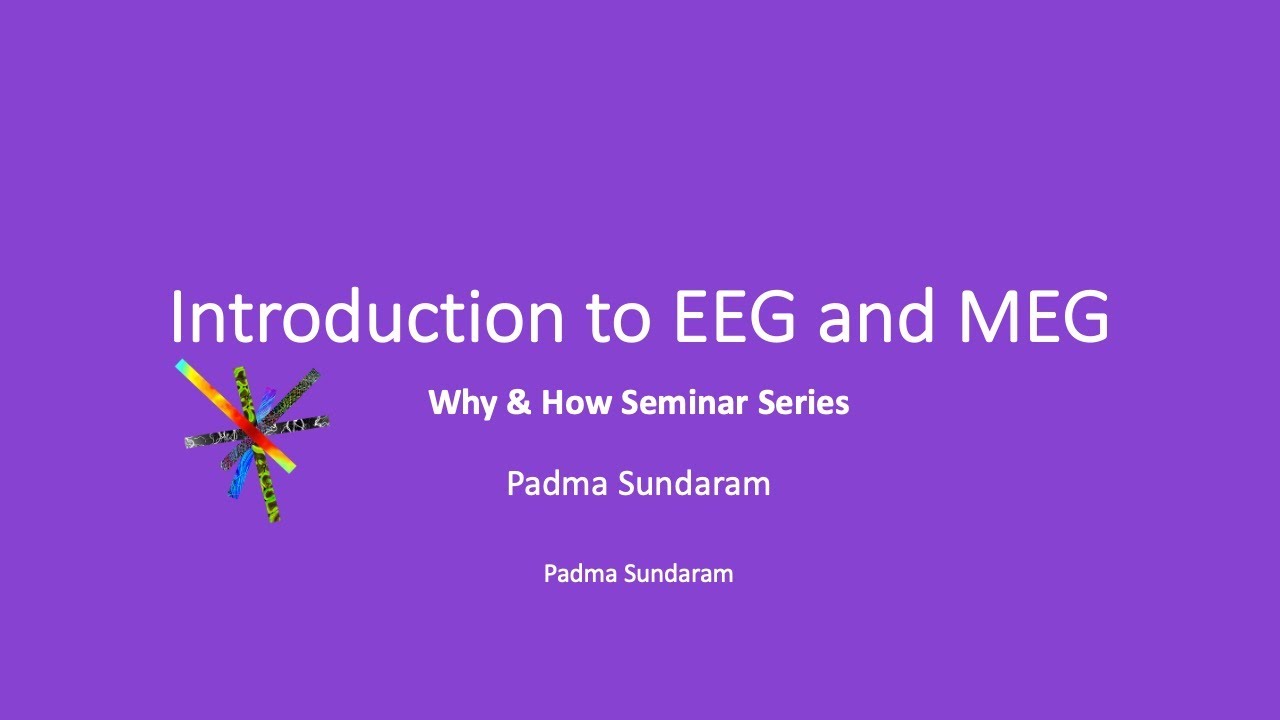 Introduction to EEG and MEG