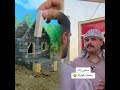 تحشيش عراقي للضحك مهدي زناد