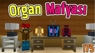 Örümcek Bebek Ve Bebelek Kaçirildi - Minecraft Maceraları 175. Bölüm