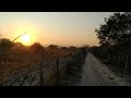 Amanhecer no sertão 🏜️#brasil #natureza #sertão