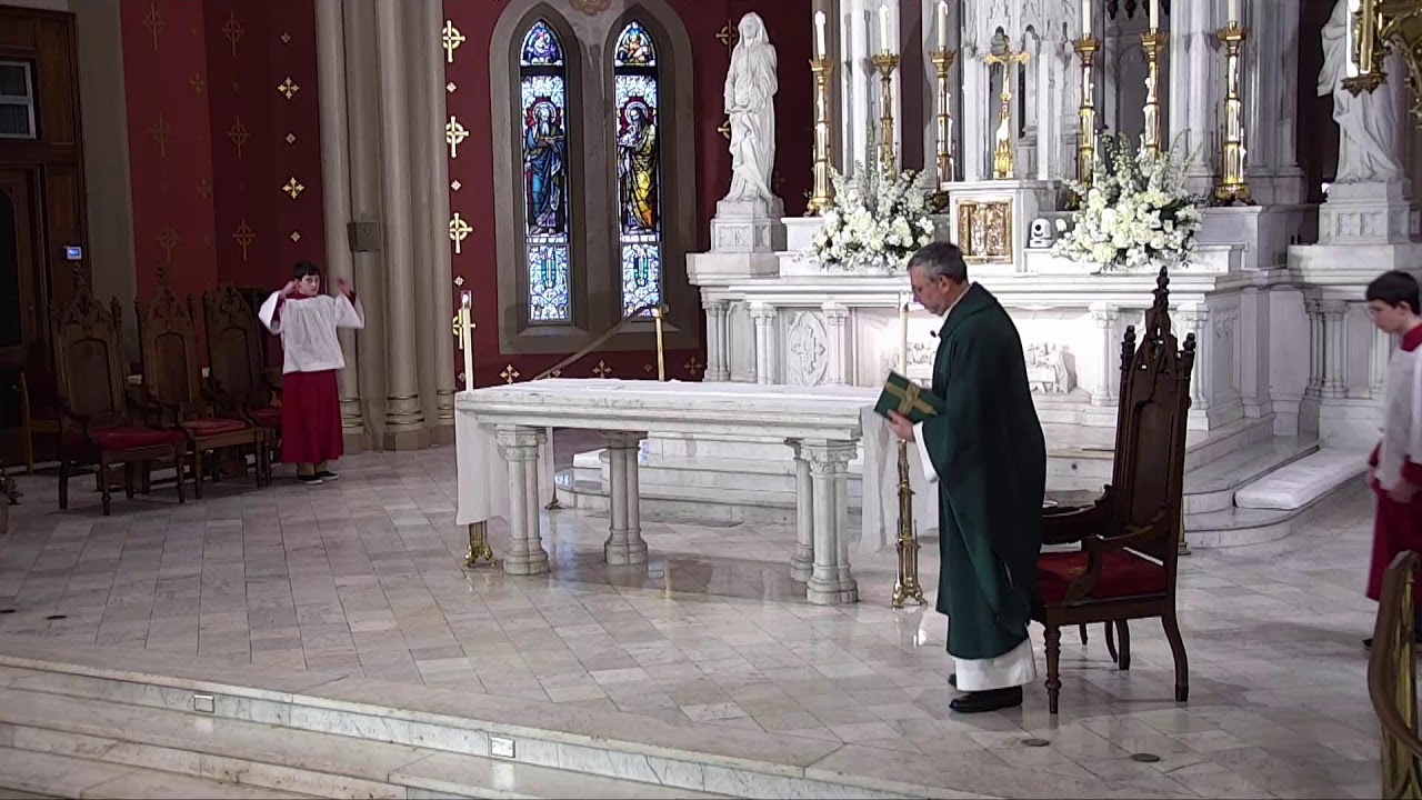 2026 0131 HNJ Sunday Vigil Mass - Fourth Sunday in Ordinary Time