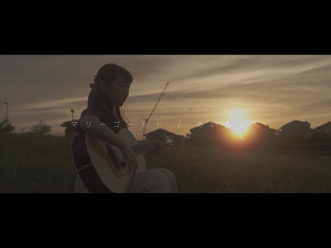 【24才女子の弾き語り】アオクマ - マリーゴールド（あいみょんカバー）