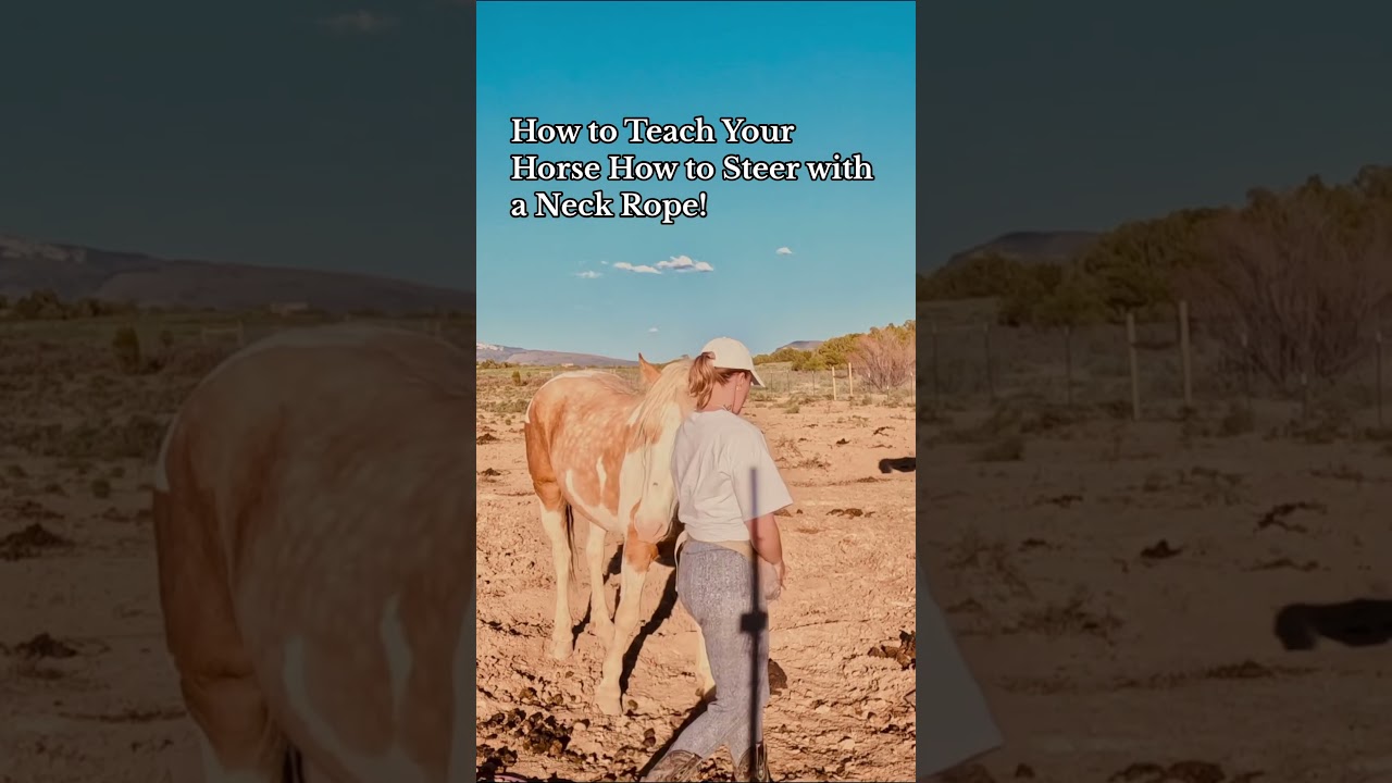 How to Teach Your Horse to Steer Using a Neck Rope! 🐴