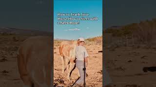 How to Teach Your Horse to Steer Using a Neck Rope! 🐴