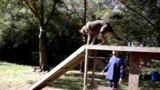 Panza catwalk.AVI