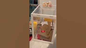 Lần đầu đi Đám Cưới ở Mỹ #shorts