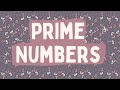 Understanding Prime Numbers
