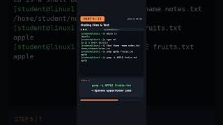 Find ANY file or text in Linux instantly #linuxcommands  #linux  #learnlinux