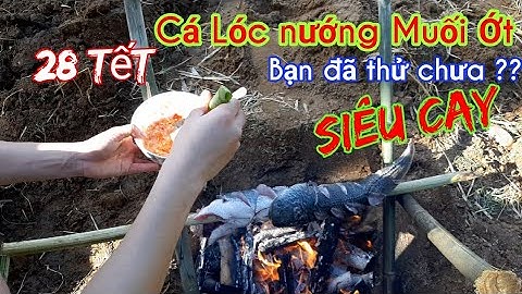 Ngày Tết làm món Cá Lóc Nướng Muối Ớt Ngoài Ruộng Thú Vị và Thơm Ngon lắm bạn ơi .