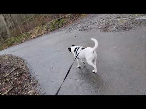 Hope's Eighth Birthday - 2026-02-15