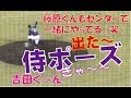 U18アジア野球選手権 吉田くん「出た~侍ポーズ」藤原くんもセンターで一緒にやってる~(^^♪ 日本代表