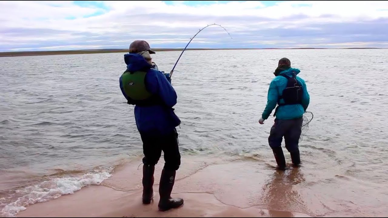 The Arctic Odyssey (Trailer) Hommes Du Nord 2017 (Elk - Thelon Rivers)