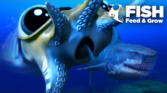 mosasaurus fish feed and grow
