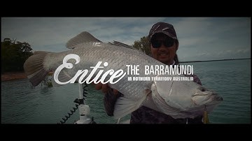 Entice The Barra - Topwater Barra action in Northern Territory, Australia with the BONE Entice 110F!