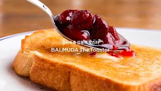 발뮤다 토스터 3종 비교
