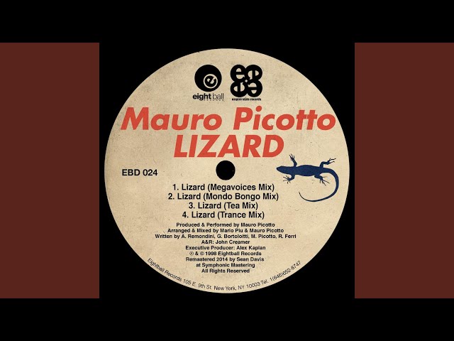 Lizard (Mondo Bongo Mix) - YouTube