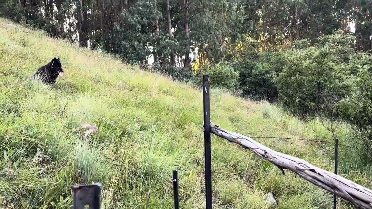 Vanuit Die Restory - Tafelkop Fontein (14 Feb 2026)