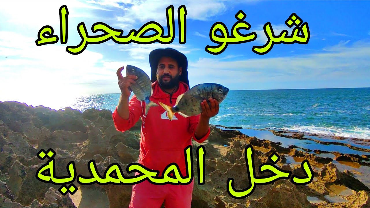 Vlog #188 رحلة صيد : تحدي الصيد سمك الشرغو و جمع فواكه البحر مع الطبخ 