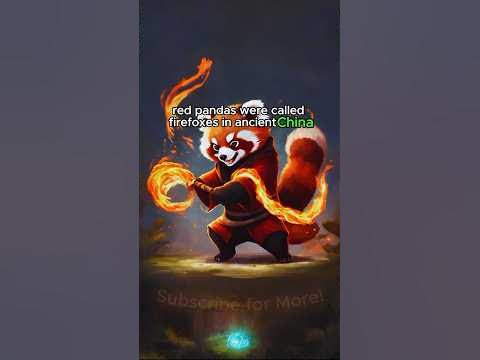 Red Pandas: Interesting Facts! #shorts #redpanda #animals - YouTube