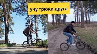 bmx трюки в лесу | учу трюки друга #bmx #братья #трюкинабмх #собака