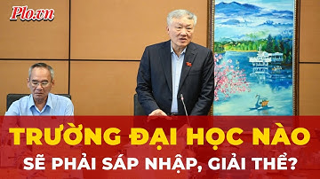 Cập nhật mới nhất: Điều kiện nào khiến loạt trường đại học sẽ phải sáp nhập, giải thể? | Tin nhanh