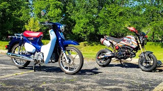 Super Cub VS Grom - World's Most Popular Bike - Cycle Report | Everyday Driver