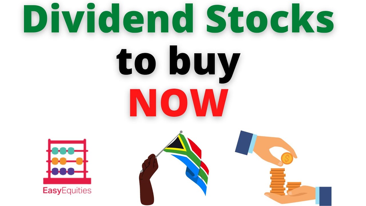 Trend Trader | Dividend Stocks to Buy Now on EasyEquities - YouTube