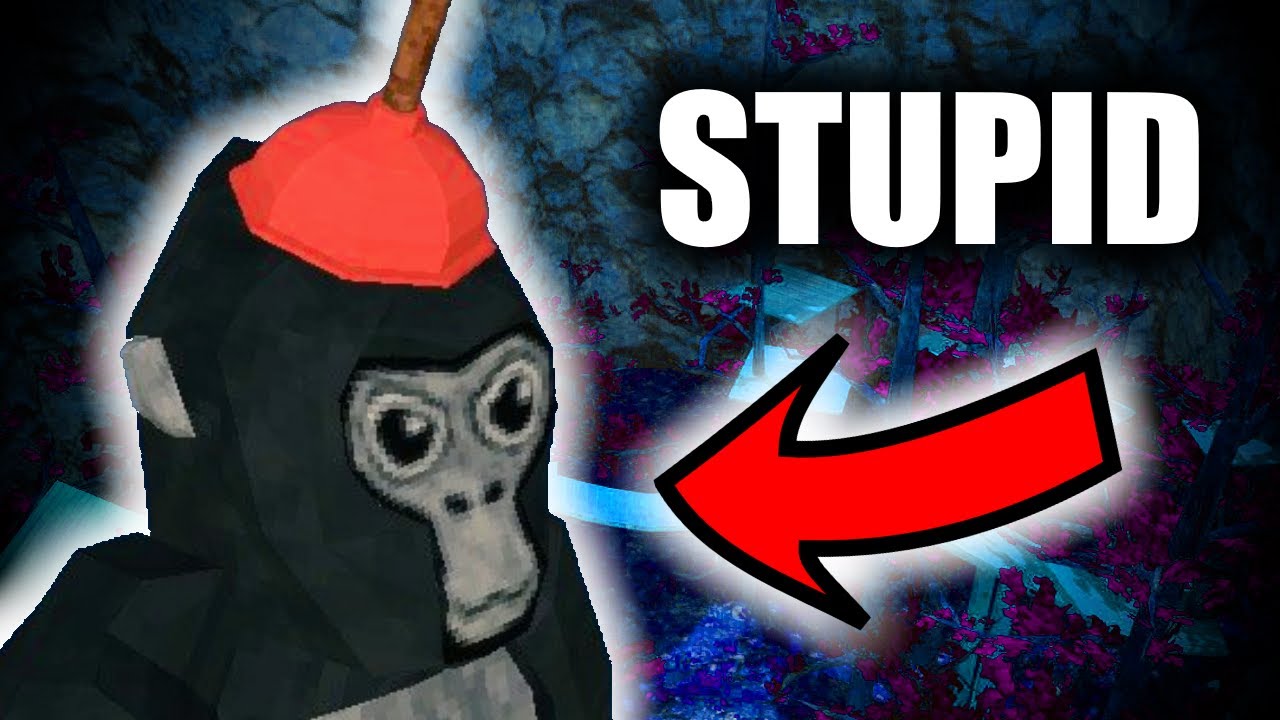 Gorilla Tag s Owner Is An Idiot YouTube gorilla-tag-s-owner-is-an-idiot-youtube