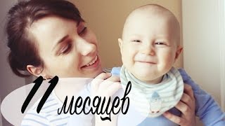 картинка: Развитие ребенка в 11 месяцев - МНОГО МИШУТКИ - Ollysadvice