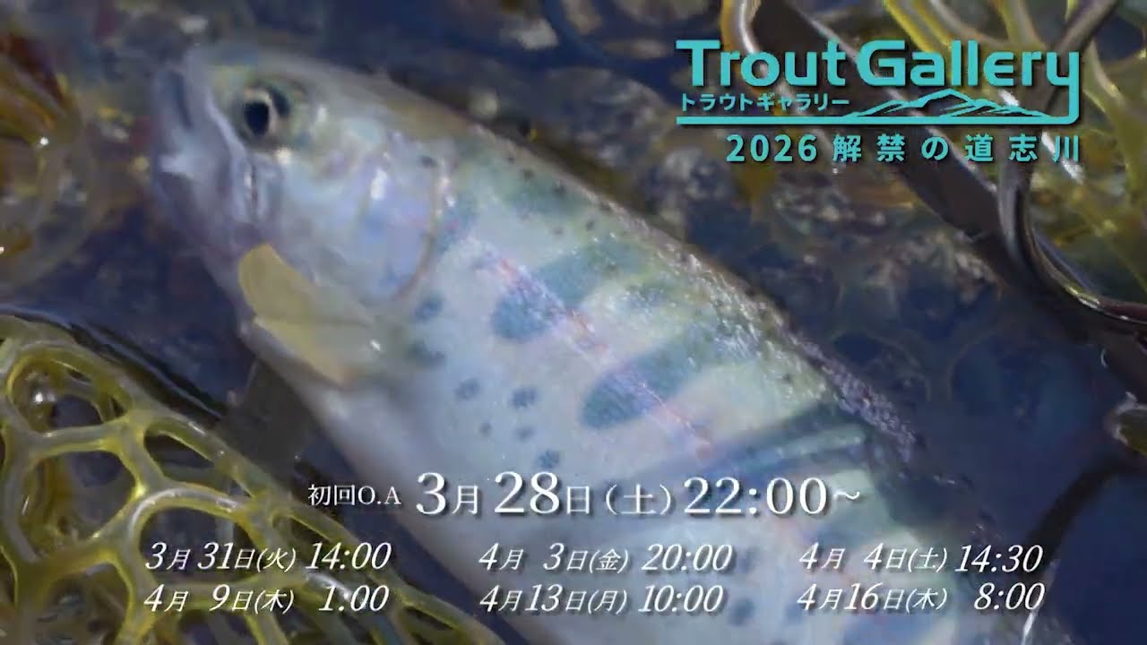 YouTube_CI2vB_SSUMAサムネイル