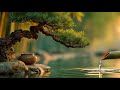🕊️ Reflexão e paz 🕊️