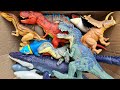 Hunting Jurassic World Dinosaur Toy ASMR Review