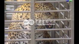 【歷史上的今天】1986.09.15_圓山動物搬到新家