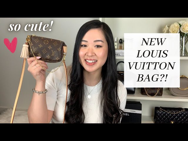 Luggage Tag / Bag or Charm Clips for Louis Vuitton LV 2 