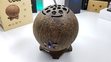 Will This Be The Coolest Coconut Style Bluetooth Speaker?