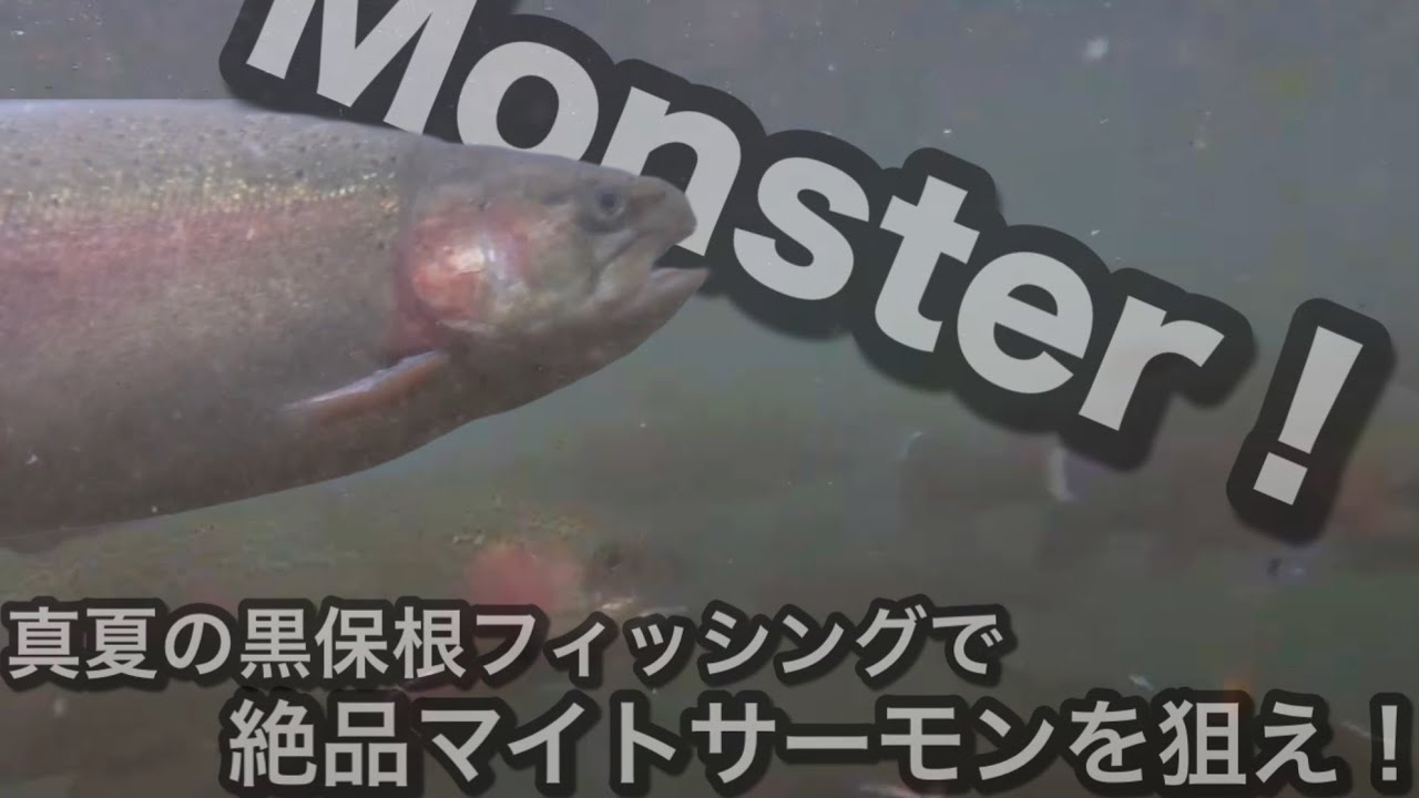 真夏の黒保根フィッシング釣行！絶品マイトサーモンを狙え！