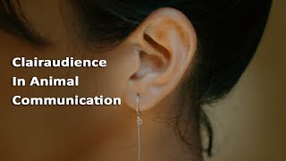 Animal Communication Basics : Clairaudience In Telepathic Communication